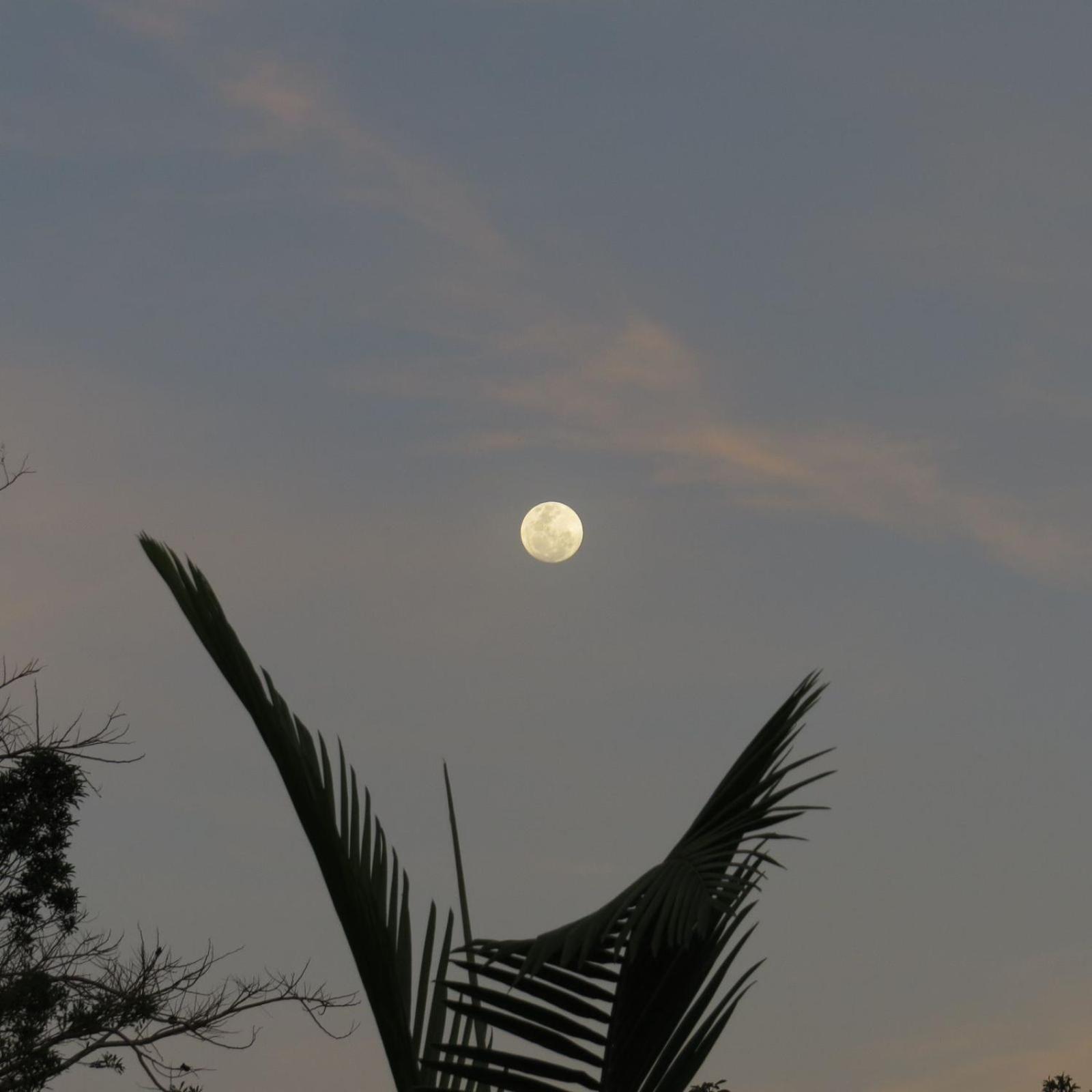 Praia Do Rosa Hostel ภายนอก รูปภาพ